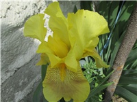 7722e643-Picture 022.jpg